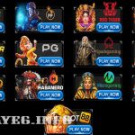 provider slot