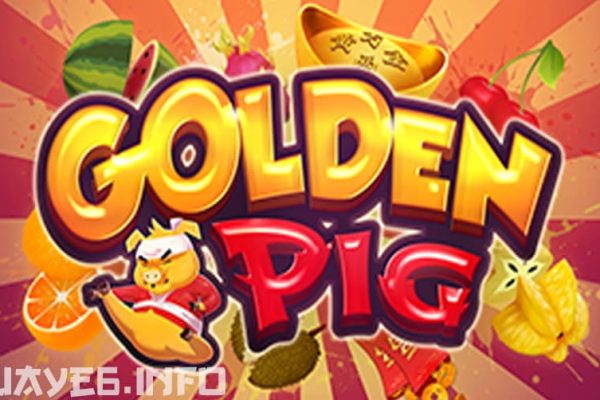 Golden Pig