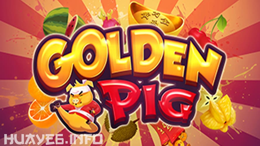 Golden Pig