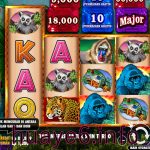 Congo Cash